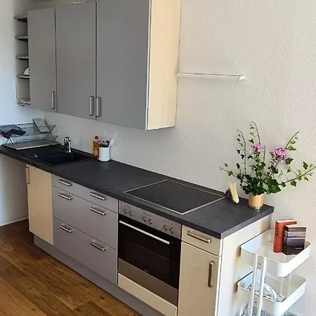 Apartment Seeschoen - Direkt Vor Der Insel Lindau (Bodensee)
